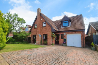 83f945b8-94688034_513856575143985_1604475529581023