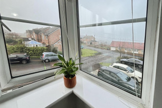 dabafb7b-image0 20 2812 29.jpeg