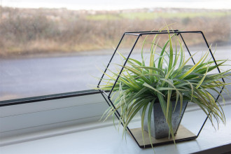 Waltons Terrace, New Brancepeth, Durham